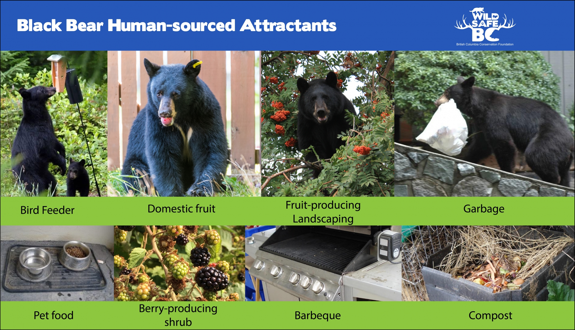 Managing Wildlife Attractants SquamishLillooet Regional District